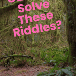 Test Your Wits Today- Fresh Riddles